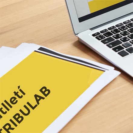 Tribunal Laboral de Catalunya